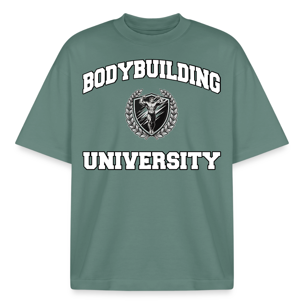 Heavyweight Oversized 'BB University' Pump Cover (Frontprint) - Grüner Bucht